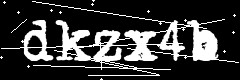 图形验证码